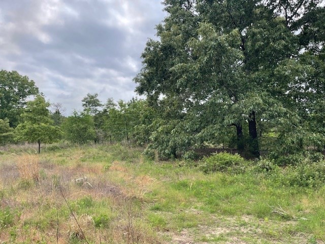 62 Brannon Montgomery Rd, Mauk, GA 31058 - view of local wilderness