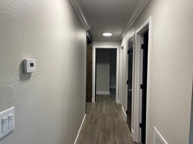 62 Brannon Montgomery Rd, Mauk, GA 31058 - hallway with baseboards, ornamental molding, a textured wall, and dark wood-type flooring