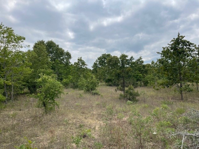 62 Brannon Montgomery Rd, Mauk, GA 31058 - view of local wilderness