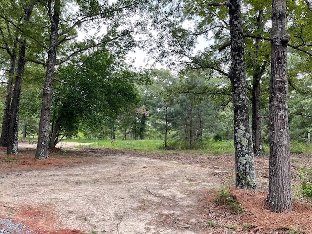 62 Brannon Montgomery Rd, Mauk, GA 31058 - view of local wilderness