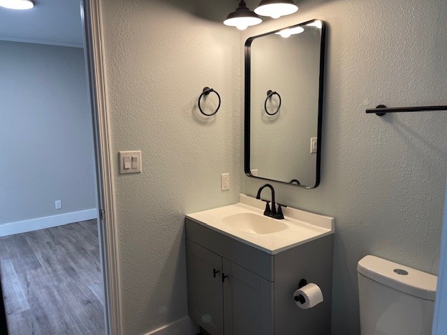 62 Brannon Montgomery Rd, Mauk, GA 31058 - bathroom featuring vanity, baseboards, toilet, and wood finished floors