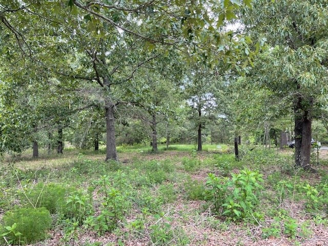 62 Brannon Montgomery Rd, Mauk, GA 31058 - view of nature