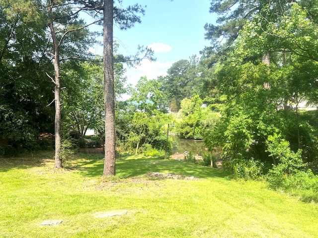 222 Cascade Rd, Columbus, GA 31904 - photo 3