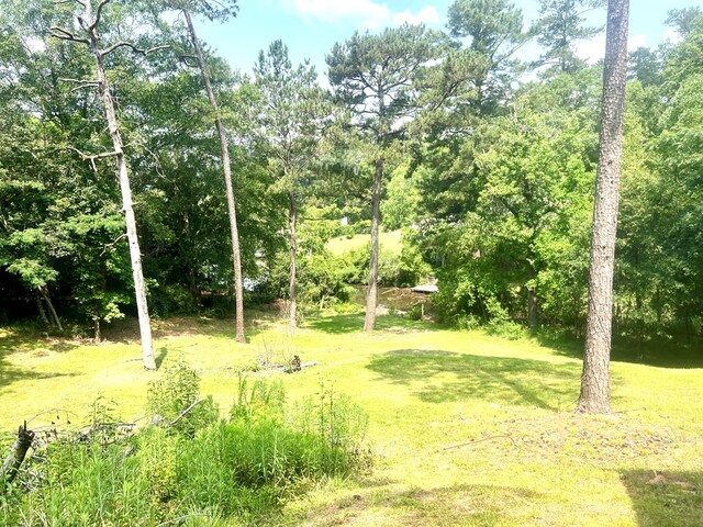 222 Cascade Rd, Columbus, GA 31904 - photo 4