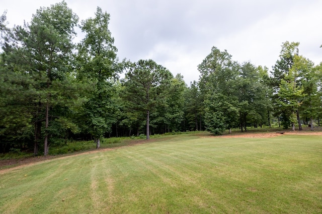 68 Dunley Ct, Ellerslie, GA 31807 - photo 33
