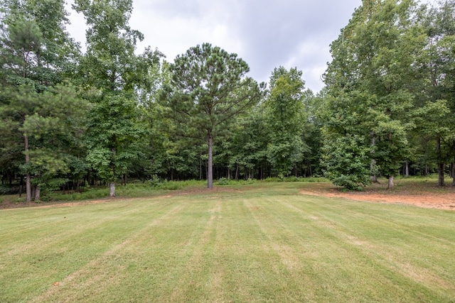 68 Dunley Ct, Ellerslie, GA 31807 - photo 34