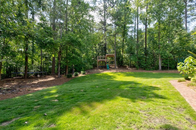 5023 Masters Ln, Columbus, GA 31909 - view of green lawn with a playground