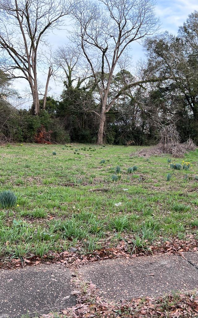 746 Chestnut Ct, Lumpkin GA, 31815 land for sale