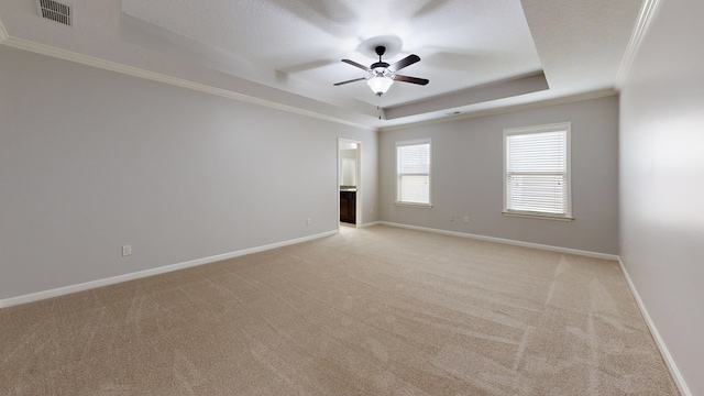 7315 San Vista Dr, Columbus, GA 31909 - spare room featuring a tray ceiling, crown molding, light colored carpet, a ceiling fan, and baseboards