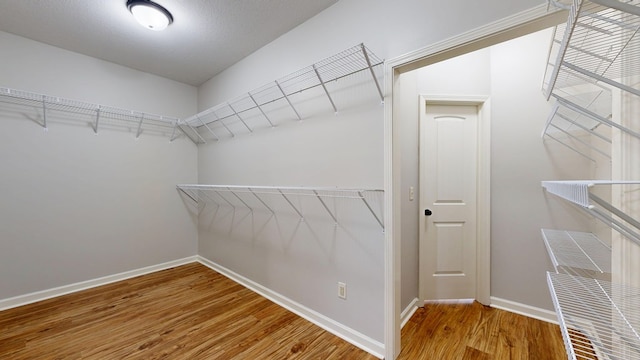 7315 San Vista Dr, Columbus, GA 31909 - walk in closet with wood finished floors