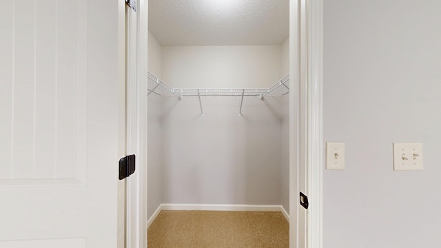 7315 San Vista Dr, Columbus, GA 31909 - walk in closet featuring carpet floors