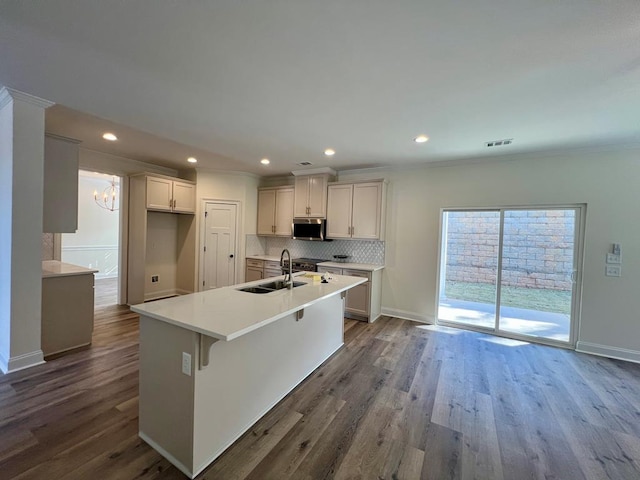 kitchen with sink, a center island with sink, dark hardwood / wood-style floors, and decorative backsplash