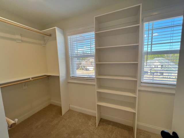 walk in closet with light carpet