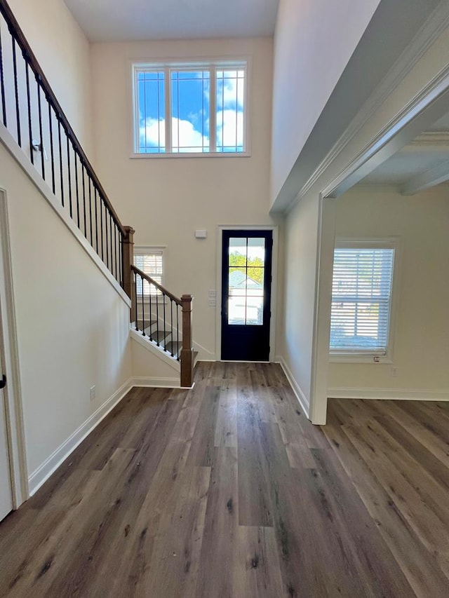 entryway with dark hardwood / wood-style flooring and a high ceiling