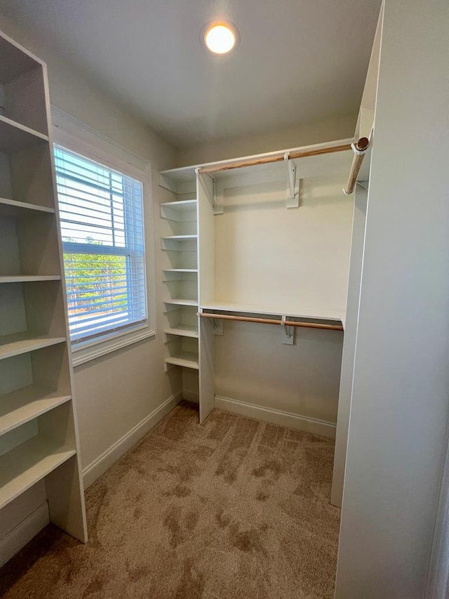 walk in closet featuring light carpet