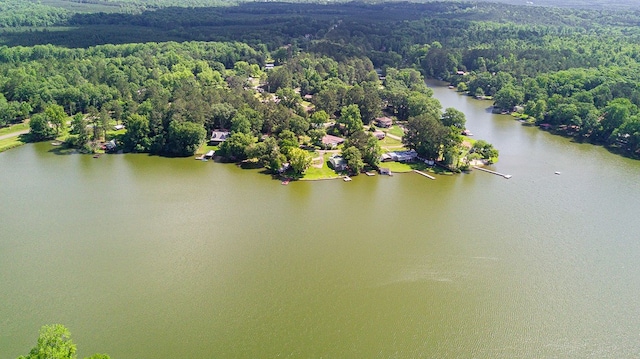 35 Dogwood St, West Point, GA 31833 - bird's eye view of a heavily wooded area and a large body of water