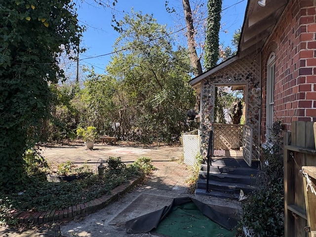 view of yard featuring a patio area