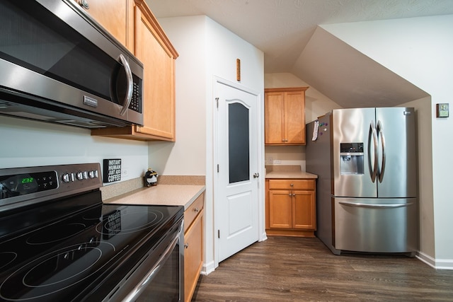 kitchen featuring vaulted ceiling, dark hardwood / wood-style flooring, and stainless steel appliances