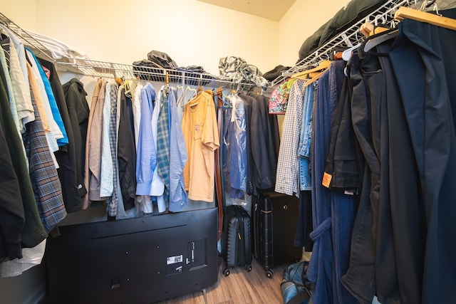 spacious closet with wood-type flooring