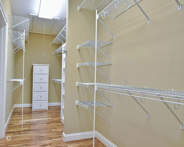 4701 Turnberry Ln Unit 12, Columbus, GA 31909 - spacious closet with attic access and wood finished floors