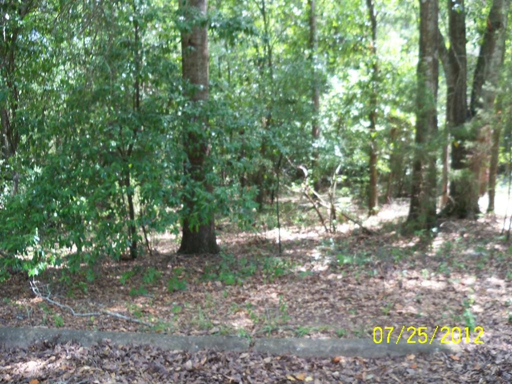 0 Humber Ave, Lumpkin, GA 31815 - photo 1