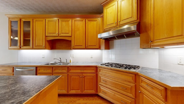 5007 Spyglass Ct, Columbus, GA 31909 - kitchen with under cabinet range hood, a sink, backsplash, and stainless steel appliances