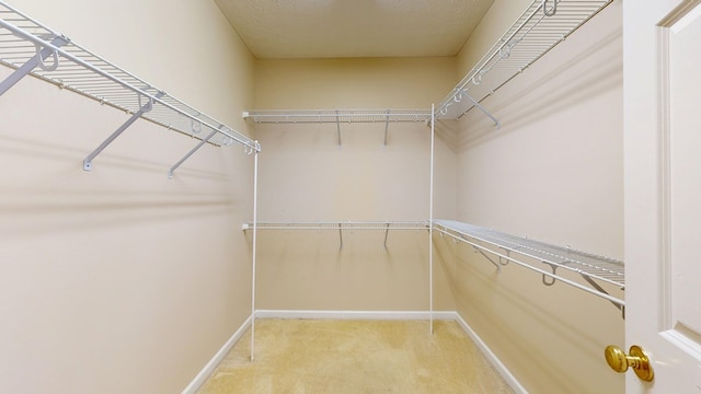 5007 Spyglass Ct, Columbus, GA 31909 - spacious closet featuring carpet flooring
