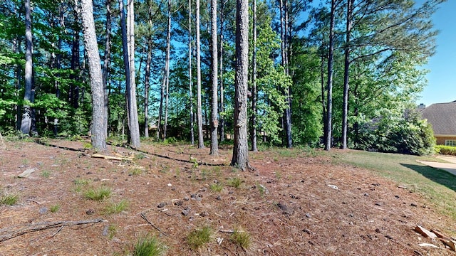 5007 Spyglass Ct, Columbus, GA 31909 - view of landscape