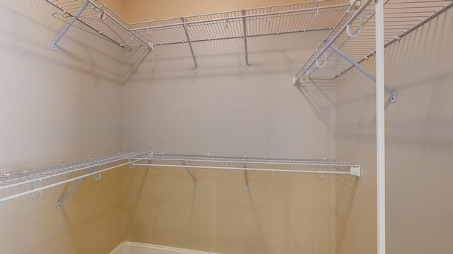 5007 Spyglass Ct, Columbus, GA 31909 - view of spacious closet