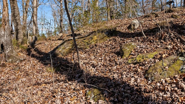 view of landscape