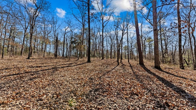 view of nature