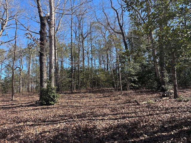 view of local wilderness