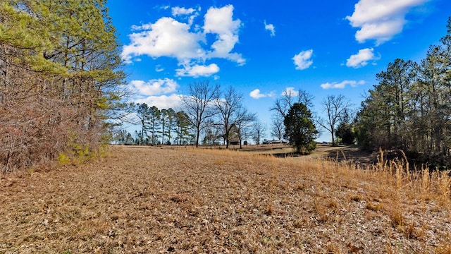 view of nature featuring a rural view