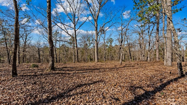 view of local wilderness