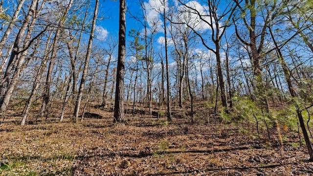 view of local wilderness