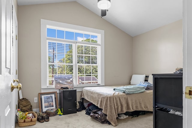 carpeted bedroom with lofted ceiling