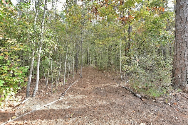 view of landscape