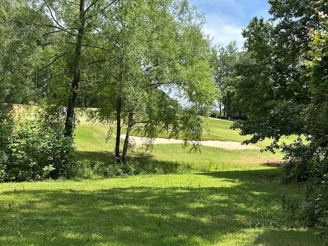 4838 Champions Way, Columbus, GA 31909 - view of green lawn