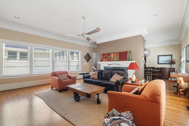 living room with ceiling fan, light wood-type flooring, and crown molding