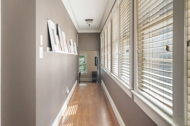 hall featuring wood-type flooring and crown molding