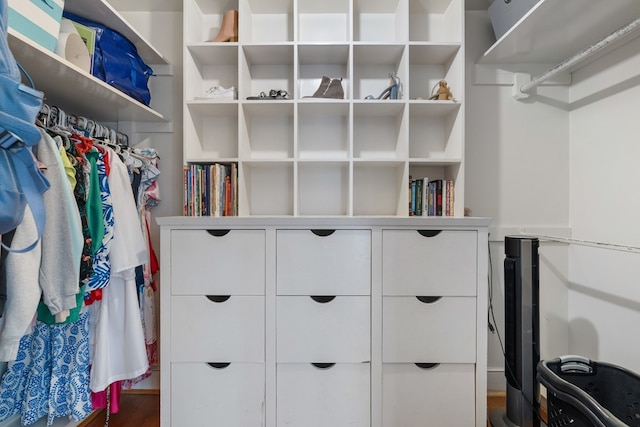 spacious closet with hardwood / wood-style floors