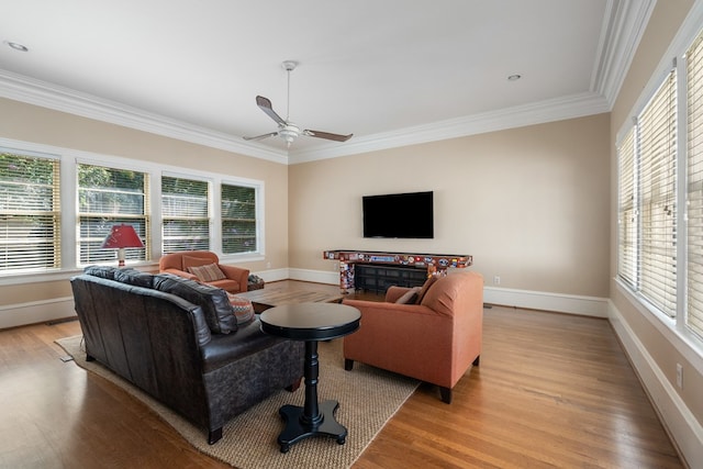 living room featuring ceiling fan, crown molding, light wood-type flooring, and a fireplace