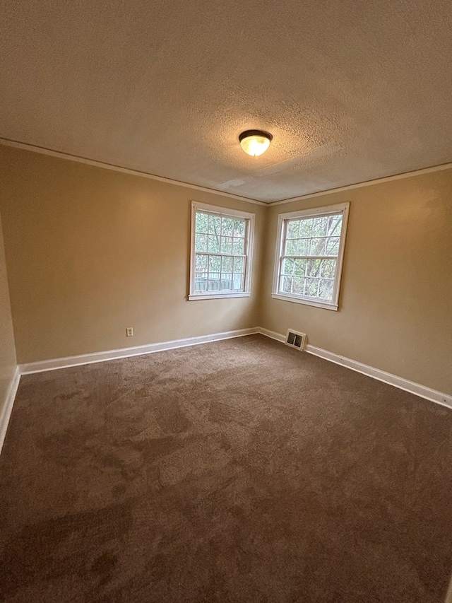 spare room with carpet and a textured ceiling