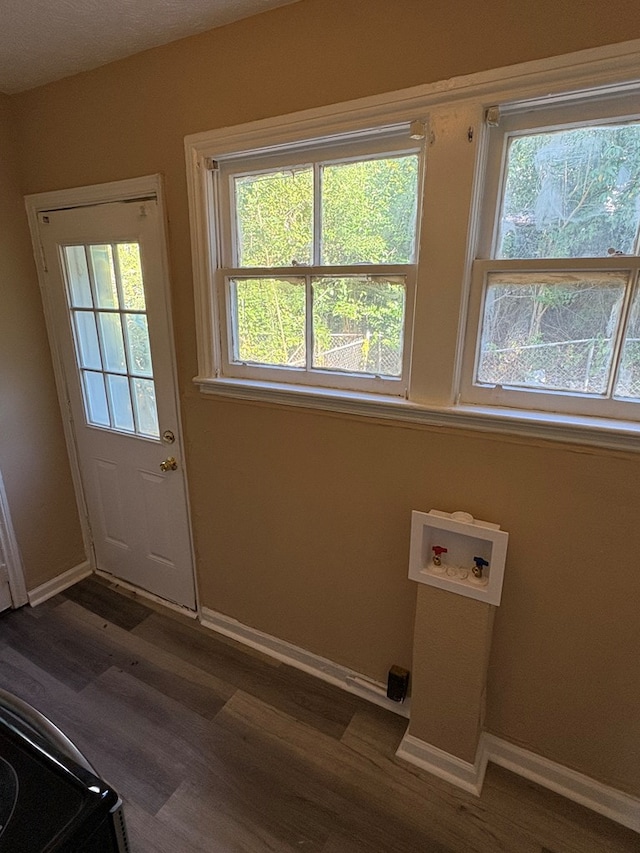 entryway featuring dark wood-type flooring