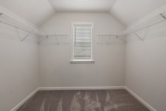 spacious closet with carpet flooring and lofted ceiling