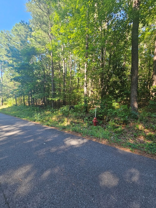 37C Red Oak Dr, Waverly Hall, GA 31831 - photo 4