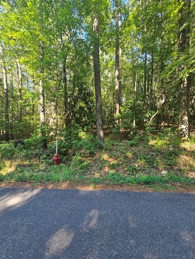 37C Red Oak Dr, Waverly Hall, GA 31831 - photo 3