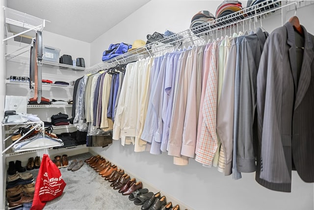 spacious closet with carpet