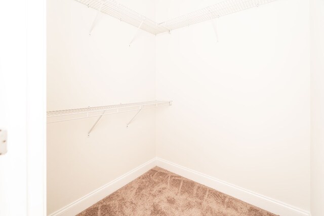 144 Lee Road 2083, Phenix City, AL 36870 - walk in closet with light carpet