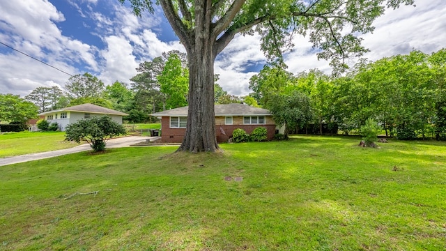 view of green lawn featuring concrete driveway